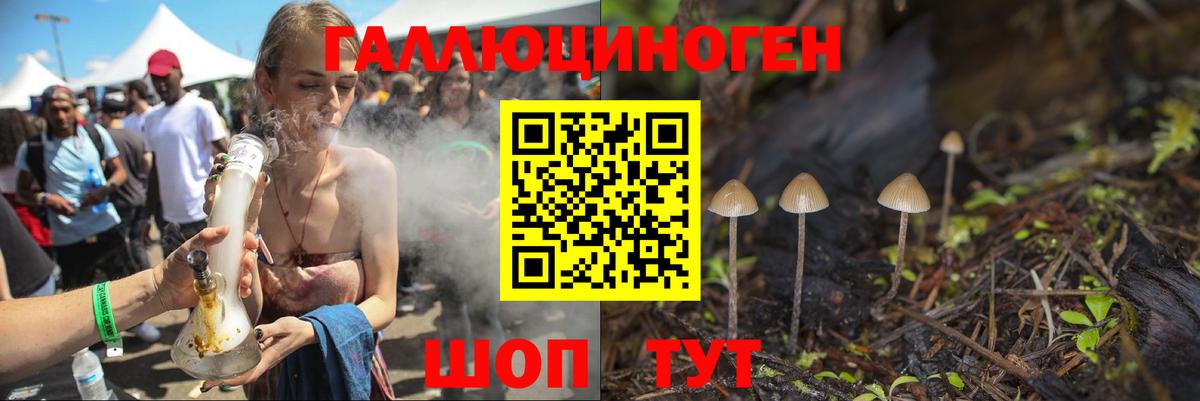 Острогожск  Псилоцибиновые грибы Magic Shrooms  Галлюциногенные грибы GOLDEN TEACHER  Вход с VPN 